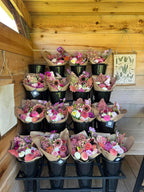 Dahlia Subscription